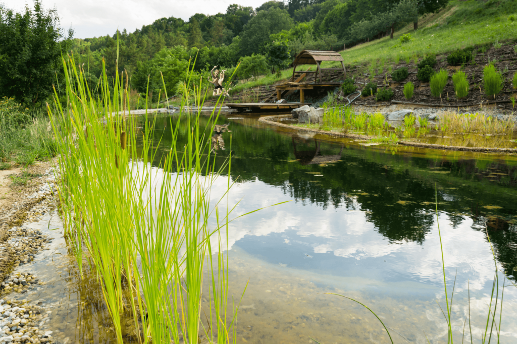 Piscine naturelle-compressed